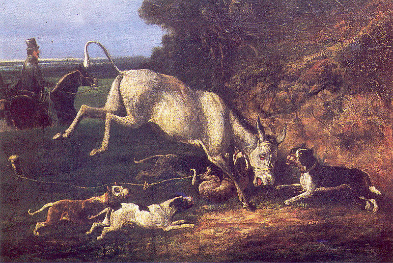 Donkey Attacked by Staffords